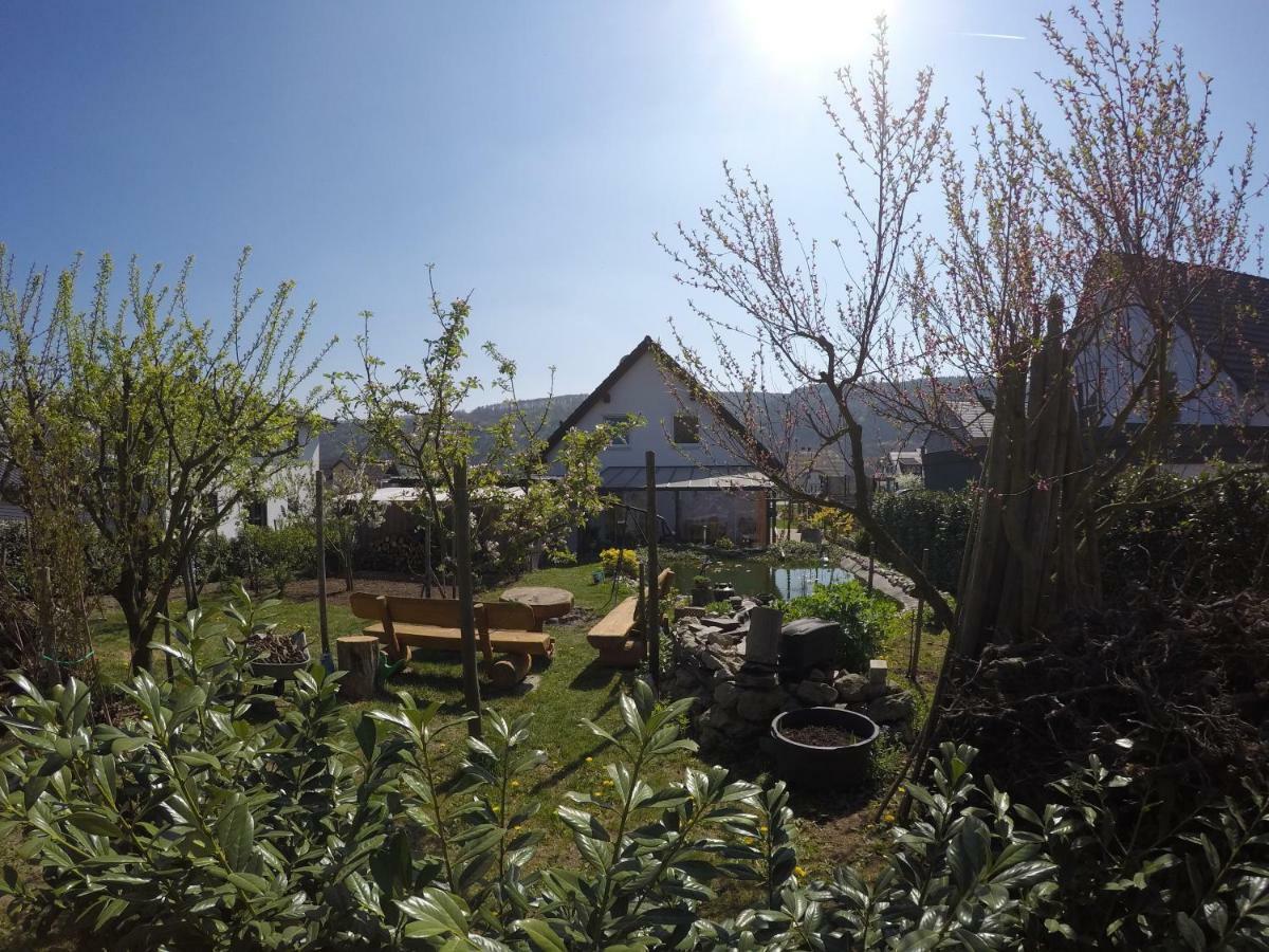 Moselie Ferienwohnung Kinheim Mosel Eksteriør billede
